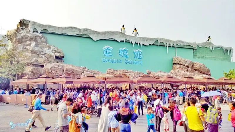 长隆欢乐世界旅游攻略景点必去（三天三夜欢乐长隆之旅）