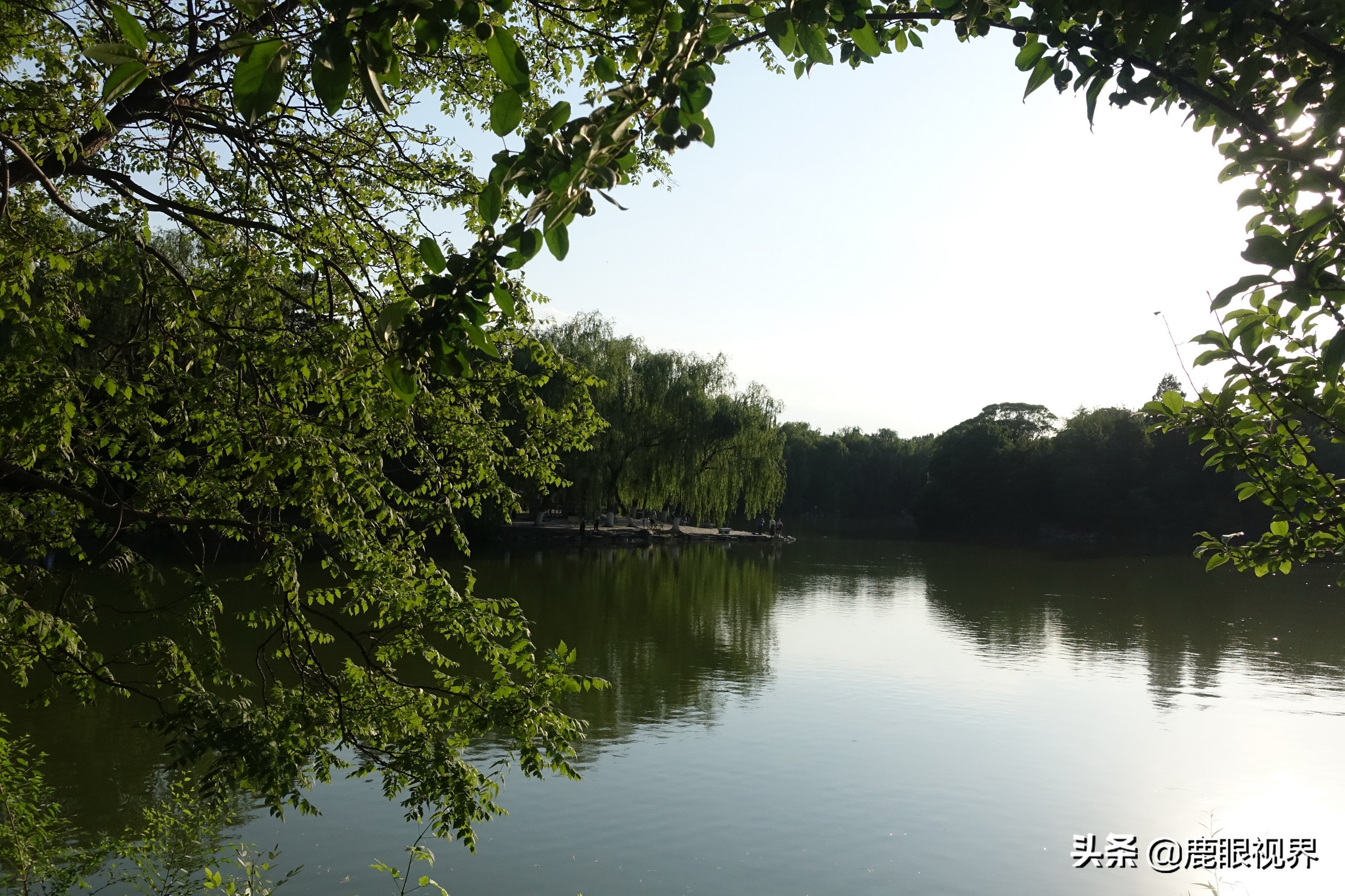 北京大学风光（三）读懂“一塔湖图”，读懂北京大学