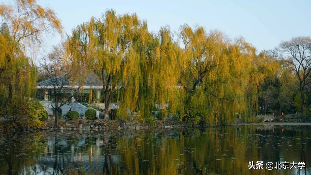 独家限定！北大赏秋地图来了