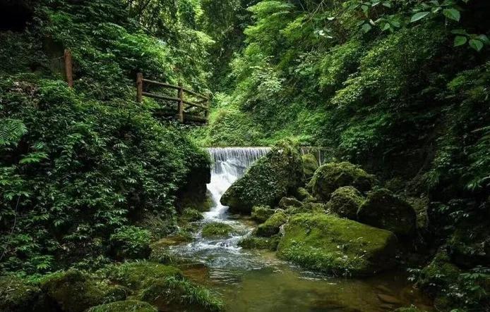 青山绿水，问道青城山