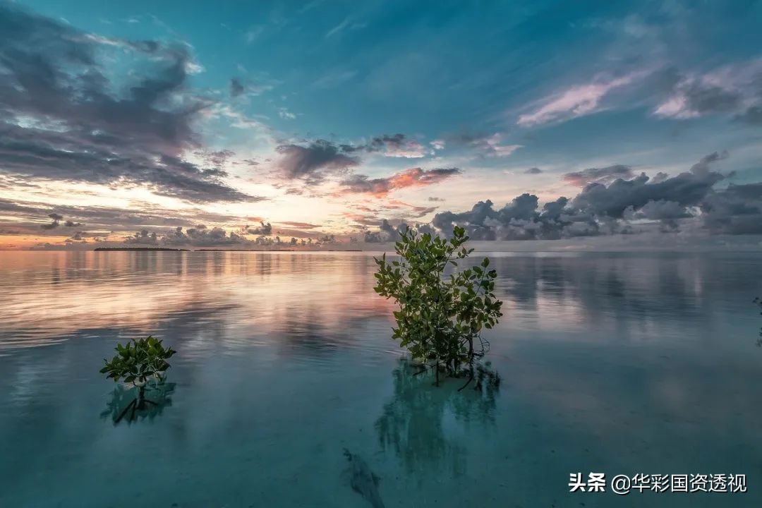 集团财务管控系列｜三：集团财务管控模式设计及财务管控体系模型