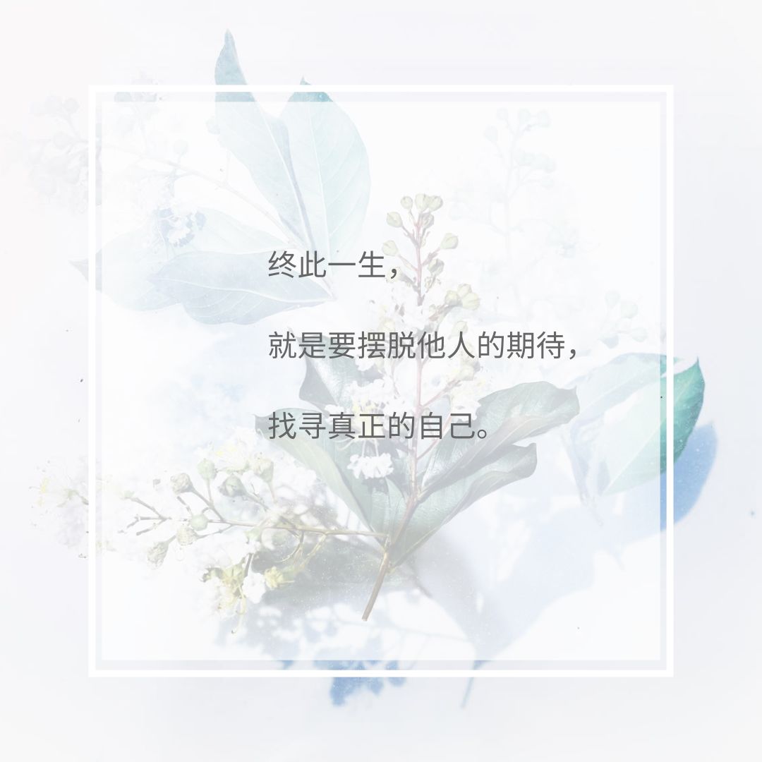 这些治愈系句子，送给天堂的那颗“水蜜桃”