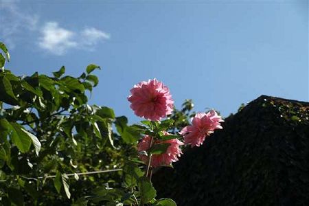 广西大专学校排名2017（南宁哪些大专好）