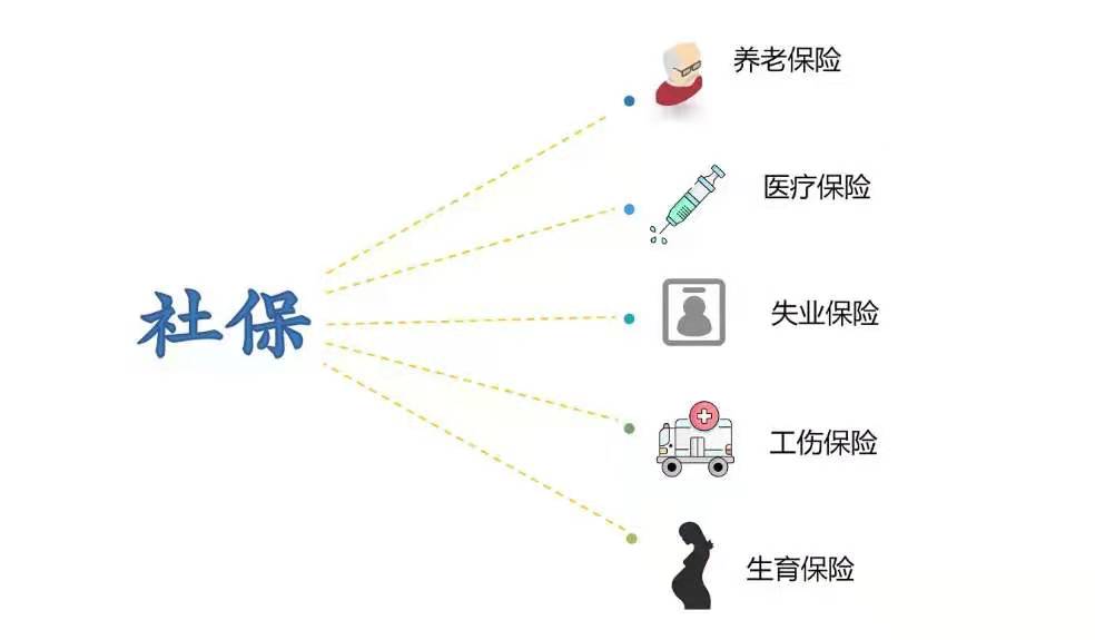 社保与商保的共性与区别，客观无广的分析