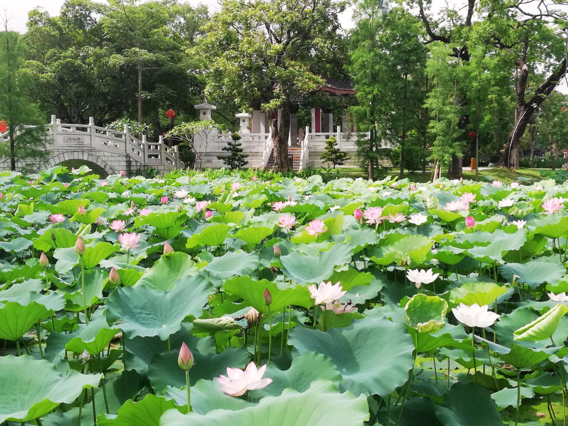 干货！惠州西湖最值得住的小资轻奢民宿合集，人均100+