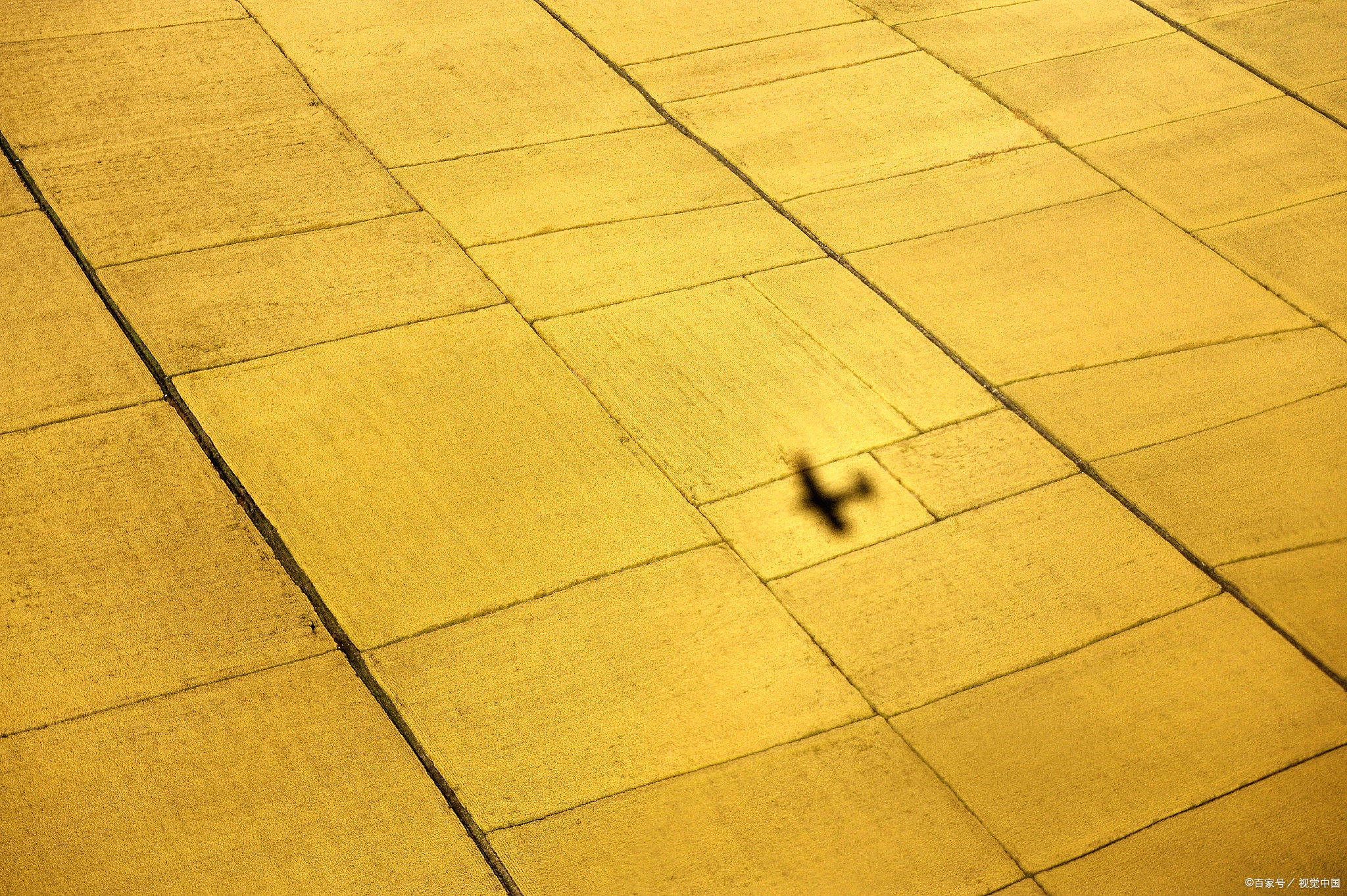 对于土地使用权转让合同效力的一点思考