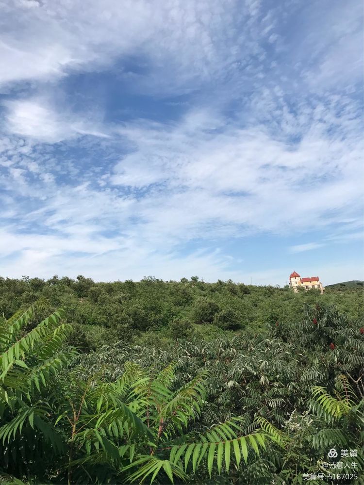 夏日登山汗如泉