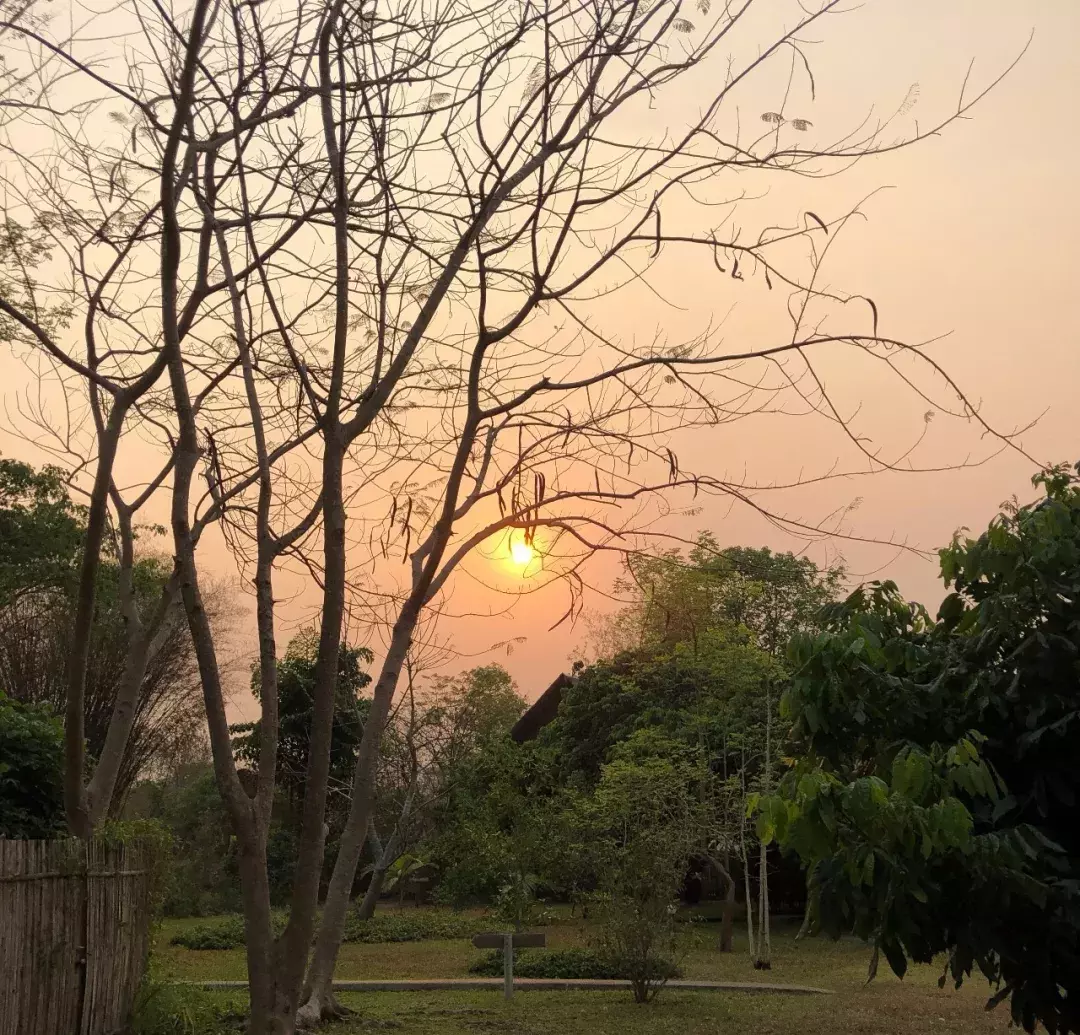 林清玄：一朝春尽红颜老