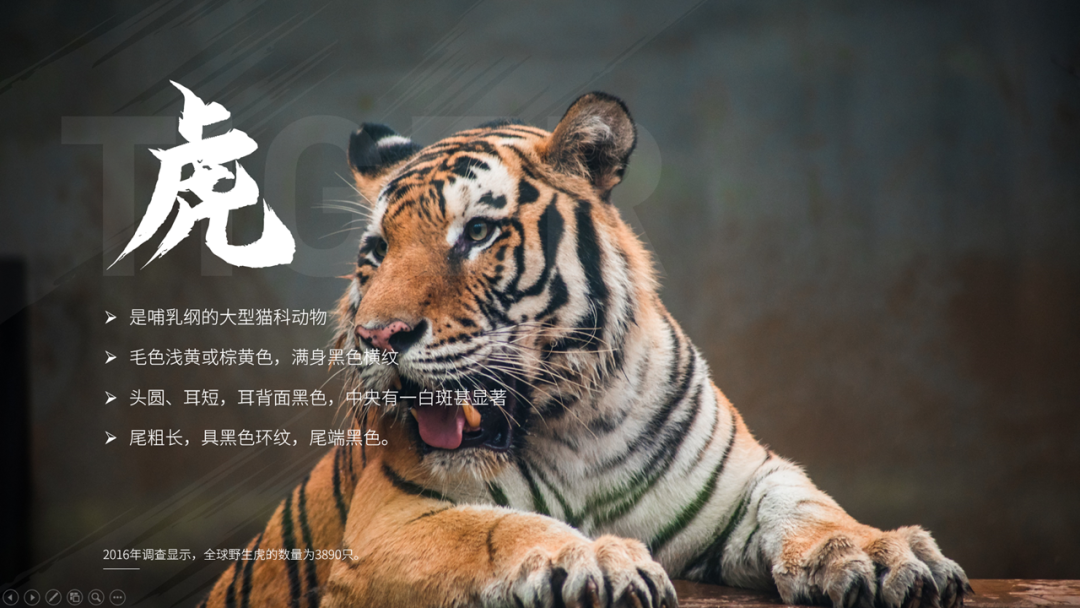 你这PPT背景，原来是这样做的啊，学到了