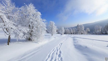 雪纷纷，掩重门 除了“好大雪”之外，这些句子更适合用来赞美雪