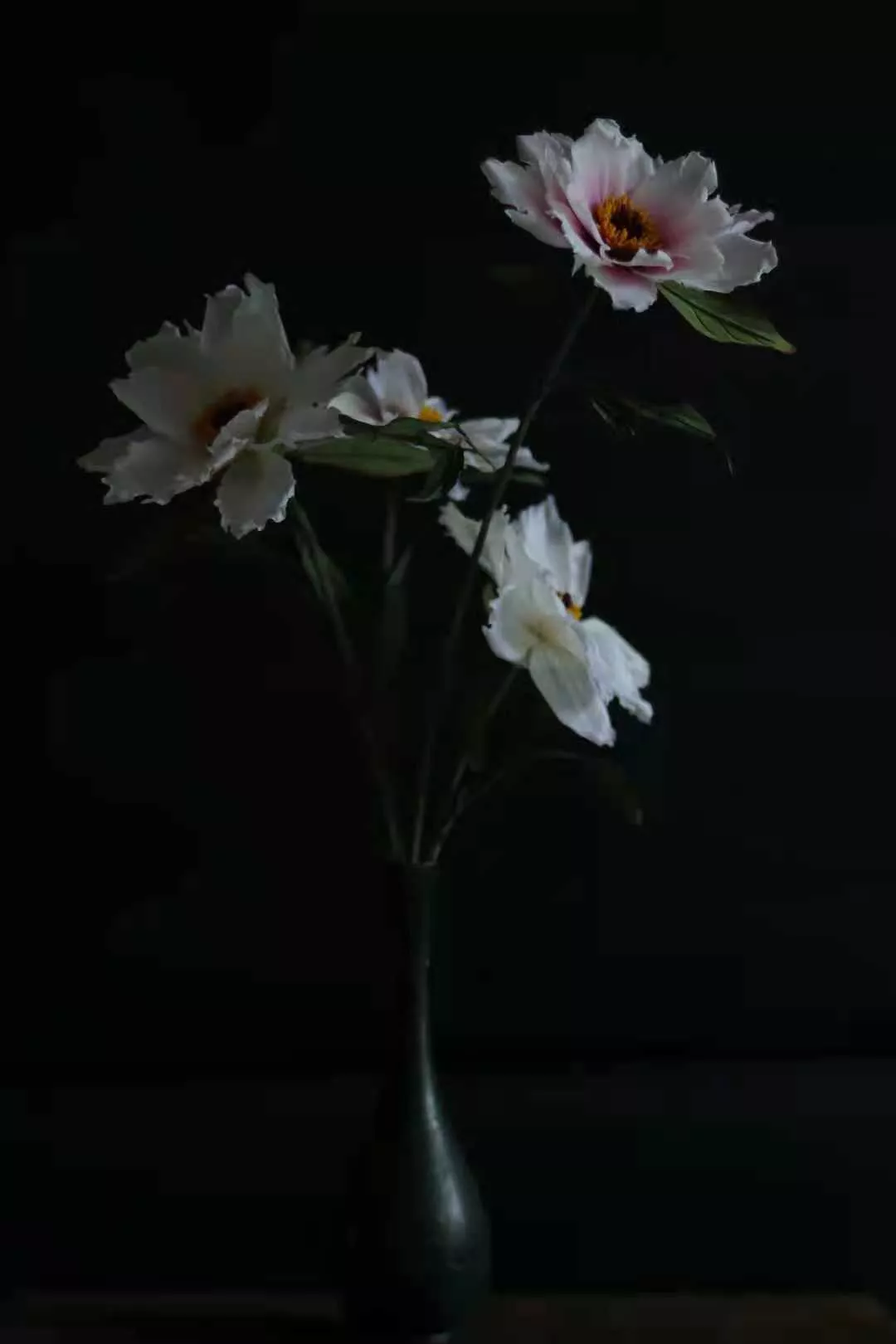 我从手里的6张offer里，挑了金斯顿