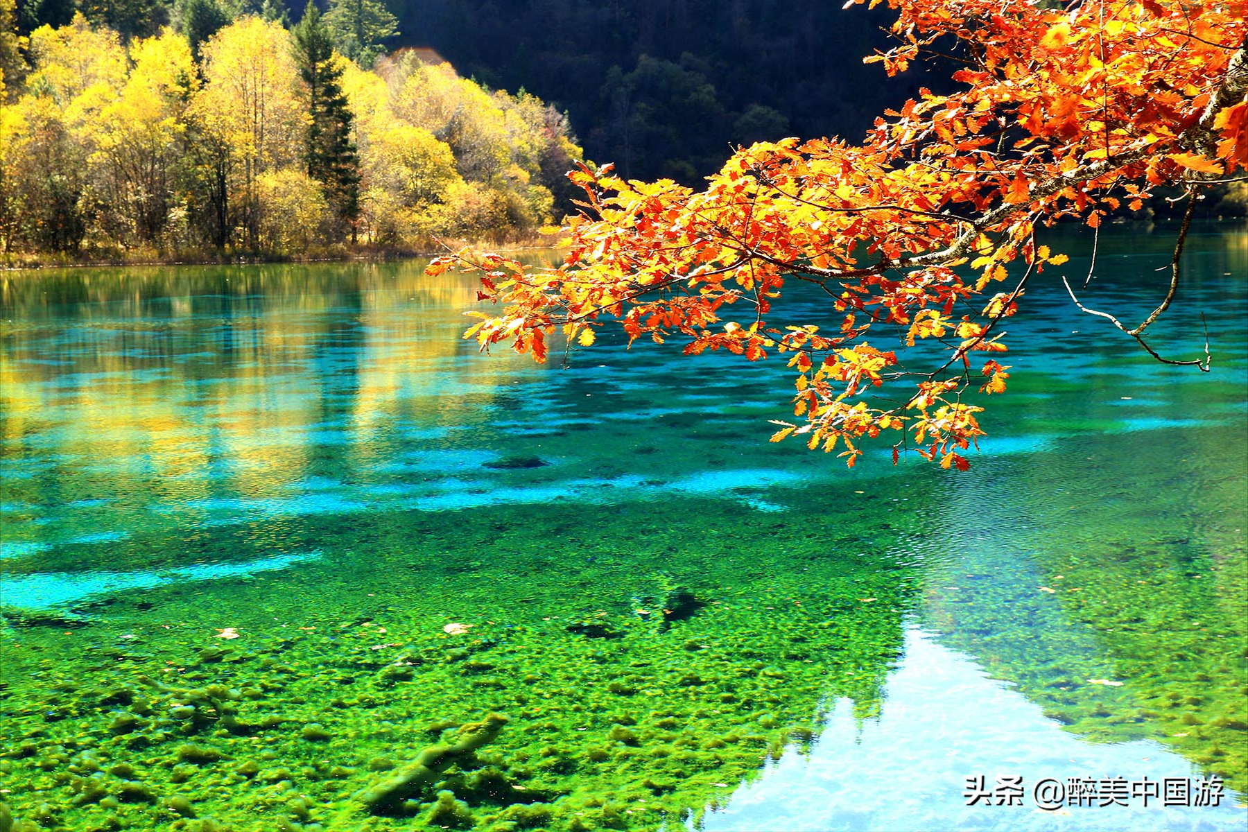 九寨沟旅游攻略，实用干货分享