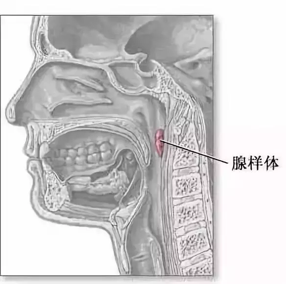 宝宝打呼噜别大意，它可能是疾病的征兆