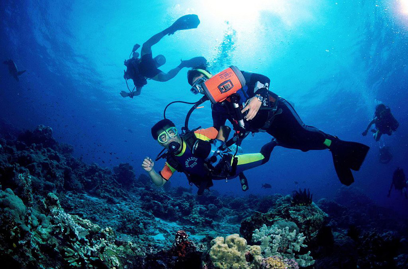 三亚大东海潜水_印尼潜水最好的地方 - 密云旅游