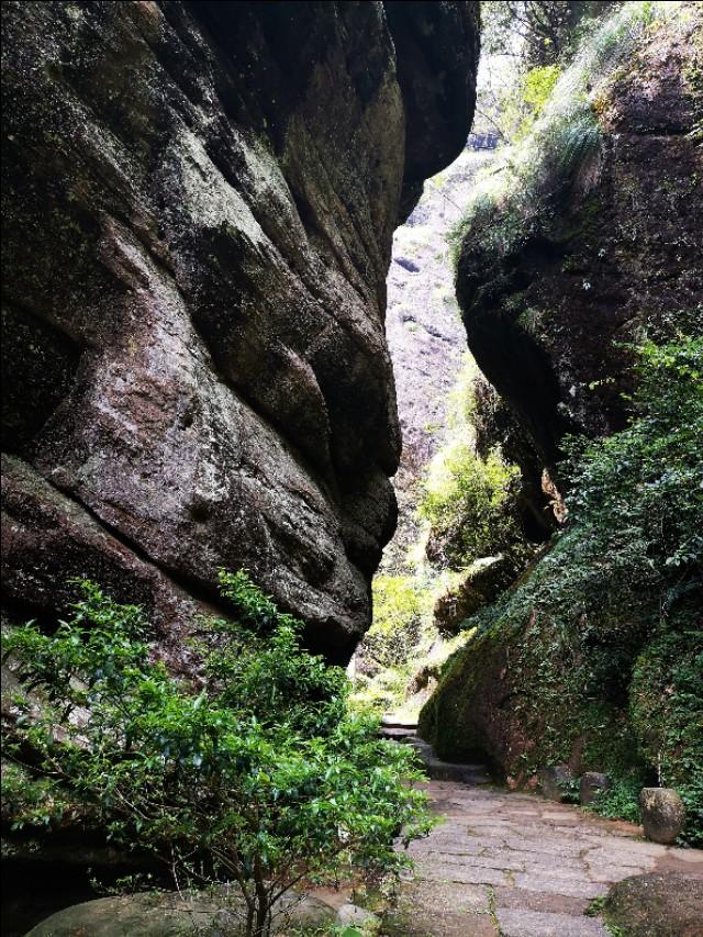 武夷山三坑两涧一岩名称_武夷山三坑两涧四窠是哪里