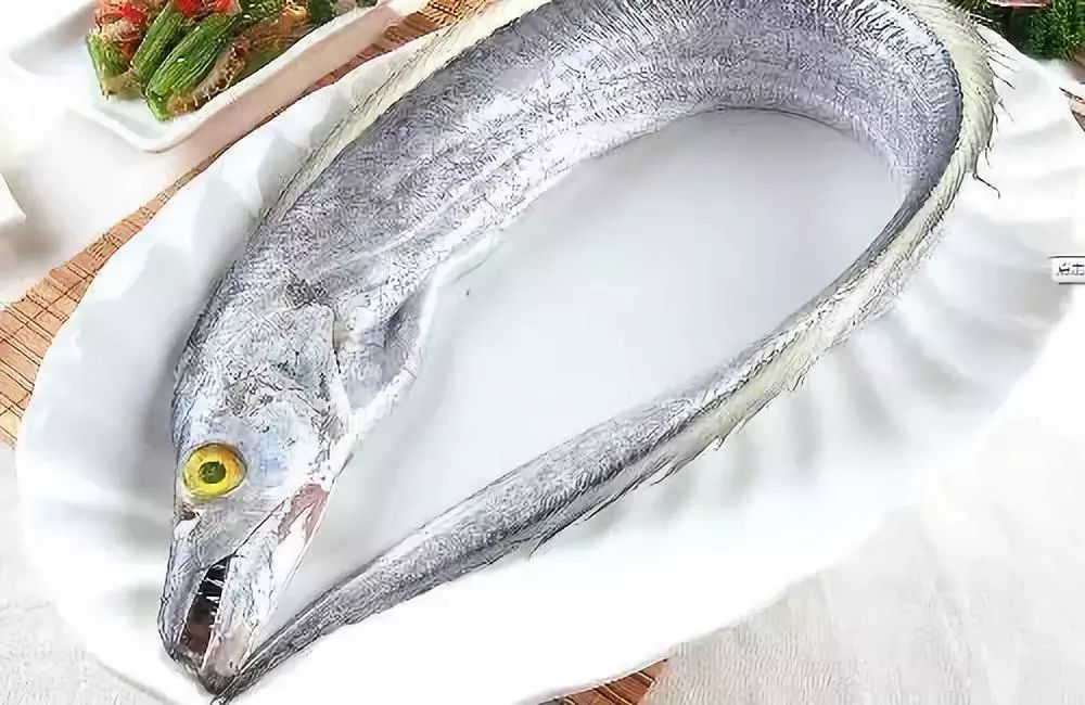 海魚有哪些,海魚有哪些品種