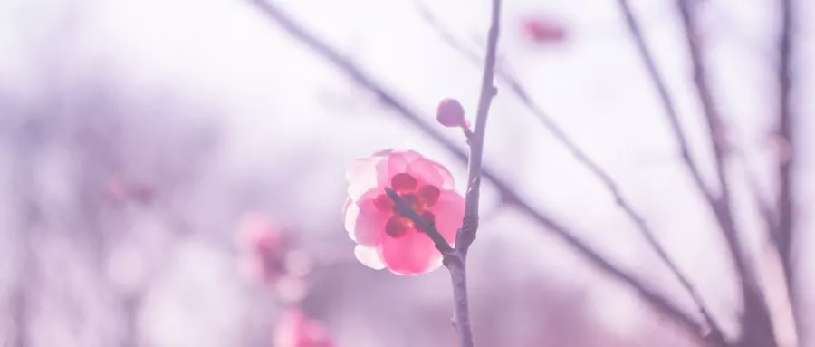 寒衣寄思：天堂路远，念你如初。