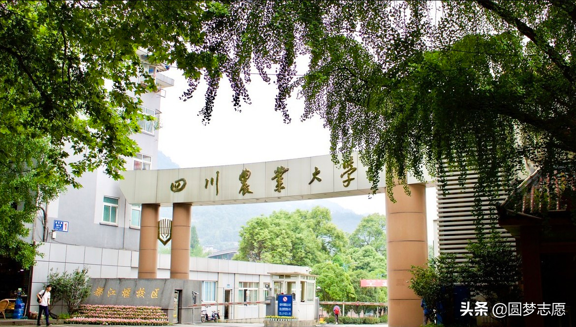 上课可以抽烟！我国9所开设烟草专业的大学（包括两所211）