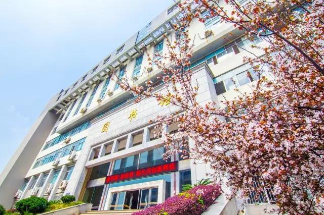 坐标湖南，影视剧取景地，高颜值食堂吃遍网红美食！这所高校