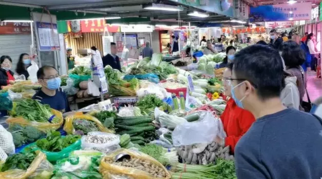 “菜比肉还贵”？全国多地蔬菜突破“十元”大关，咋回事？