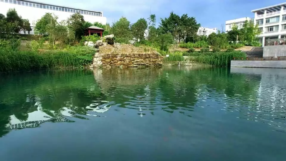 四川这所单招高校有百年历史,占地1000余亩