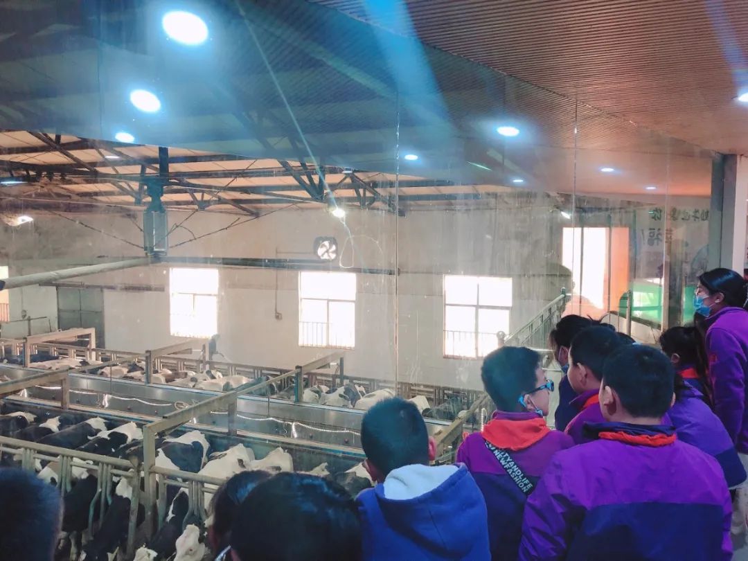 遇见春天 感受牧场生命能量—洛阳东外小学部研学系列活动（二）