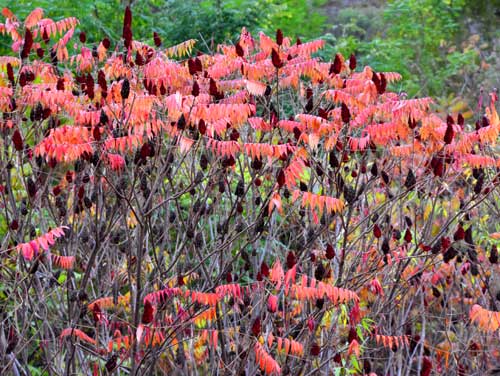 陕西旅游：甘泉雨岔大峡谷及周边行（图）