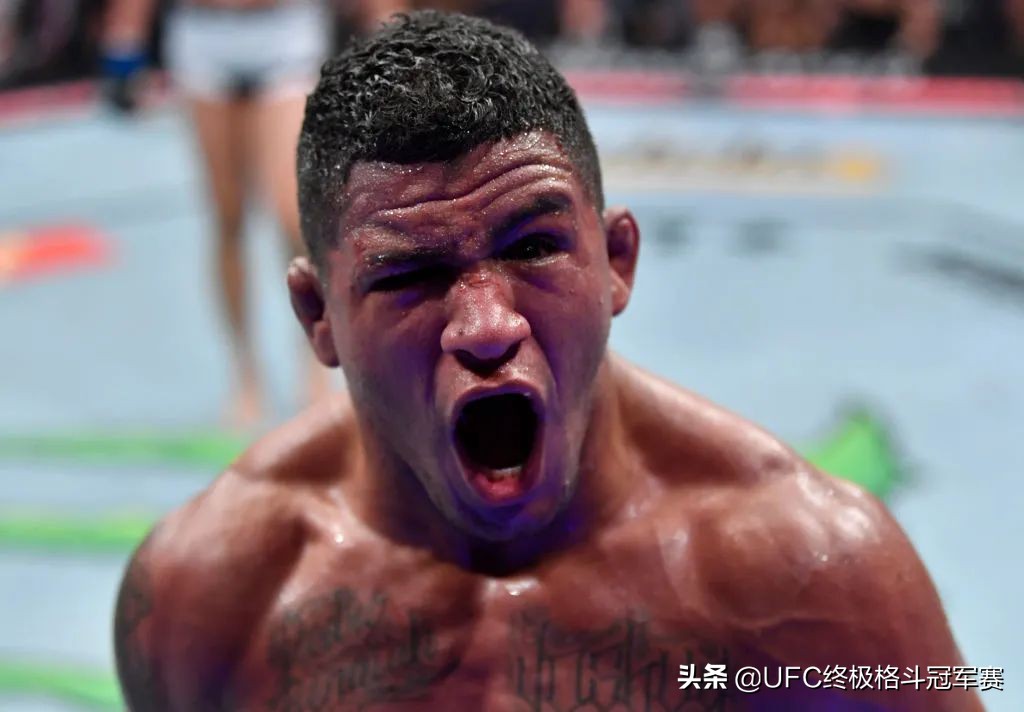 UFC264后记 | 相信的力量