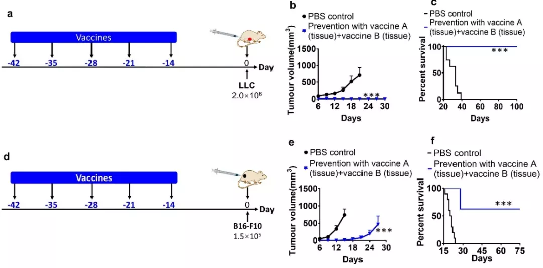 苏州大学用癌细胞重组纳米疫苗，8只受试鼠全部实现肺癌预防痊愈