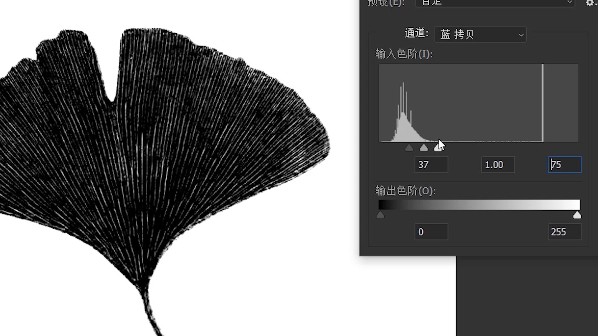 PS教程：利用通道，制作漂亮的叶脉图，图文加视频一学就会