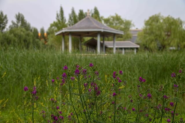 内蒙的这所大学财大气粗，附近有山有水有野生动物，“钱途”无量