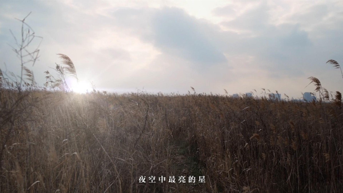 三星S21系列与张韶涵&卡斯沃共同展示了“夜空中最亮的星星”。