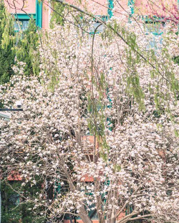 中国人民大学2017-2018年各省（区、市）录取分数线