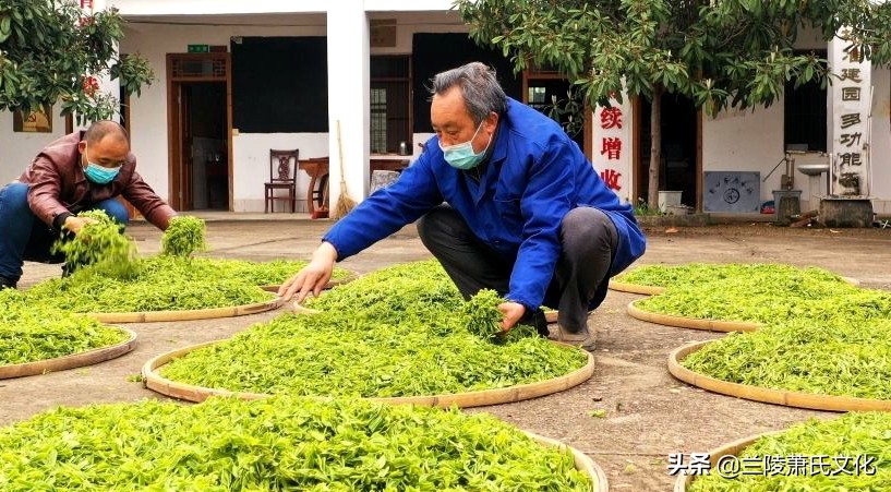 泰和：开国少将萧锋故里，华夏萧氏第二故乡