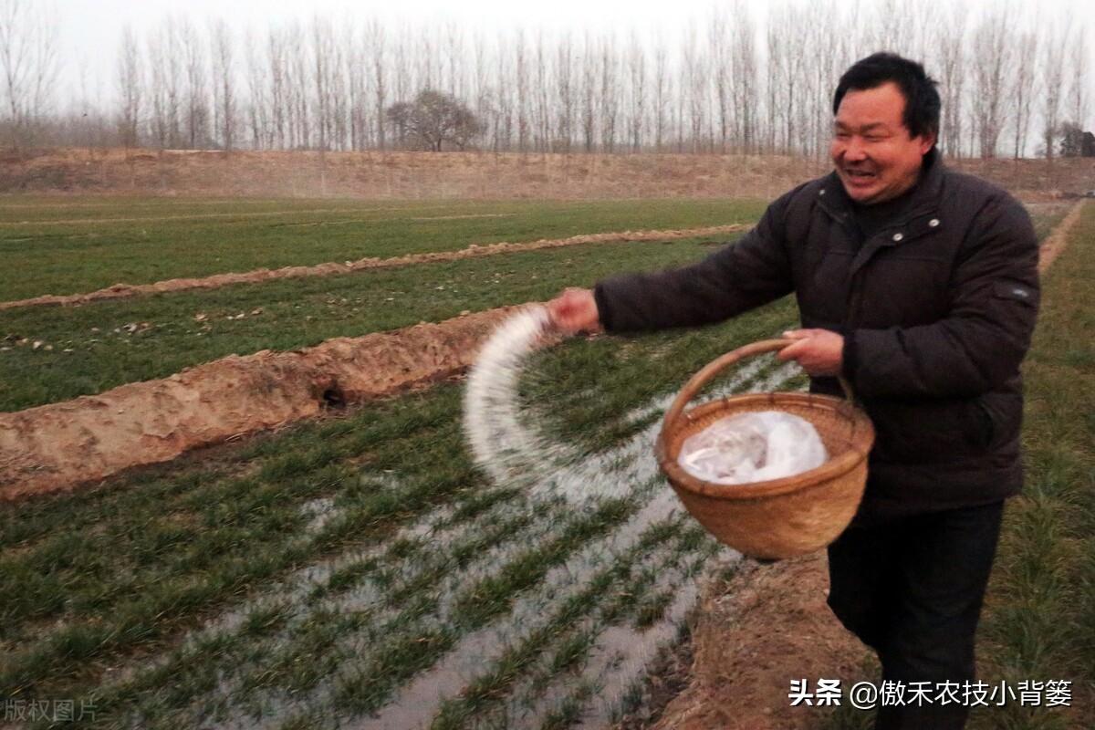 氯化铵是酸性还是碱性（氯化铵使用的7个注意事项）