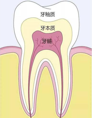 牙齿风水学图解图片