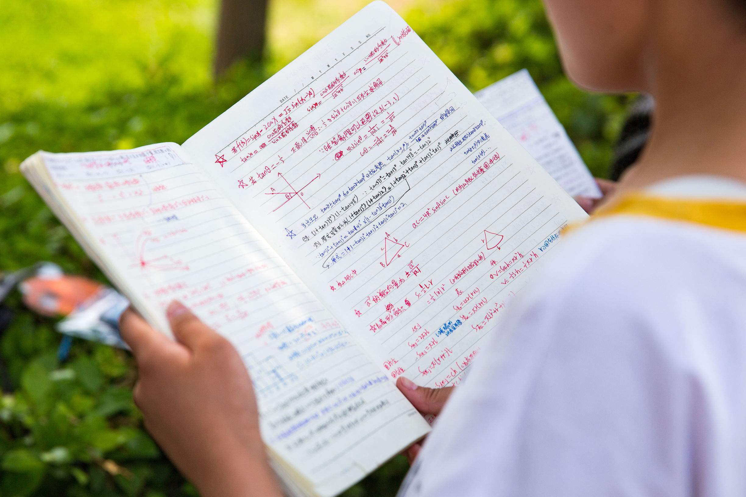 你知道独立学院和民办院校的区别吗？公办高校一定比民办院校好？