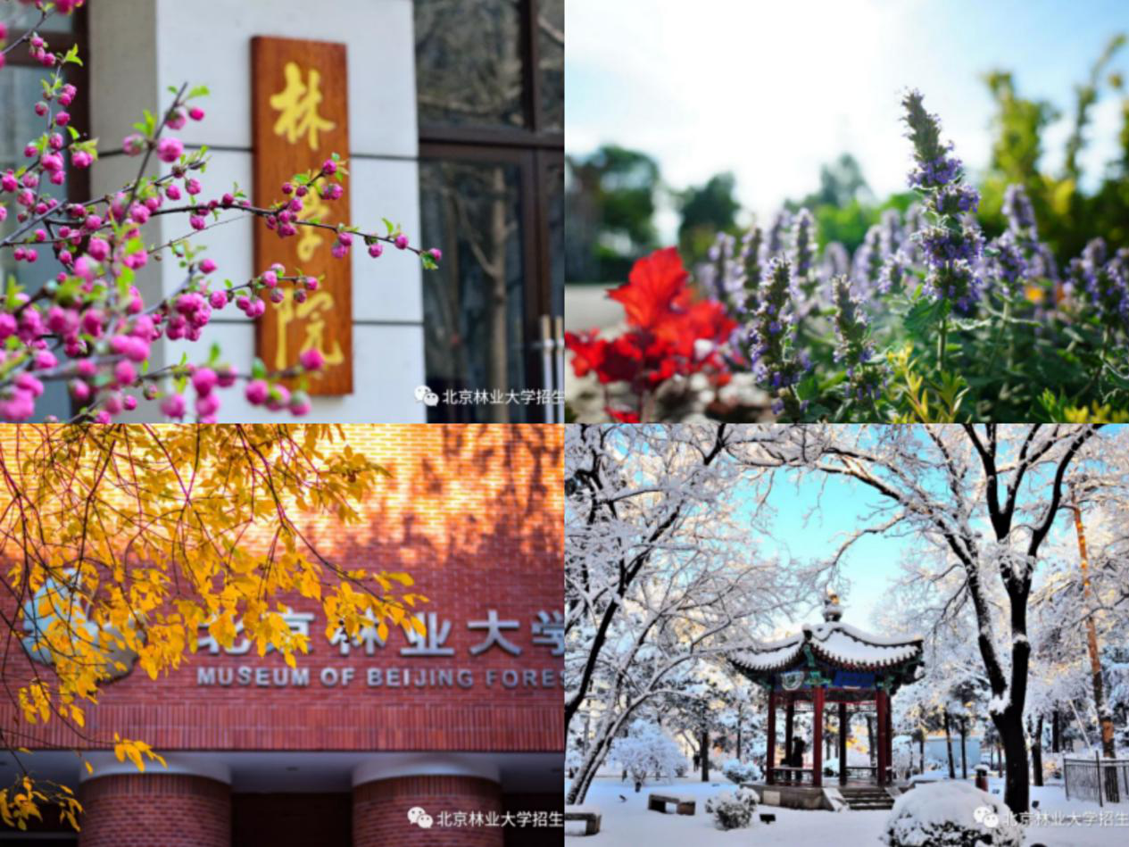 高考倒计时10天！全国最高