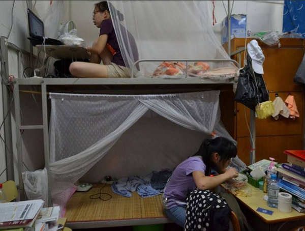 大学生“宿舍关系”等级出炉，第四阶级学生直言：四年生活不好过