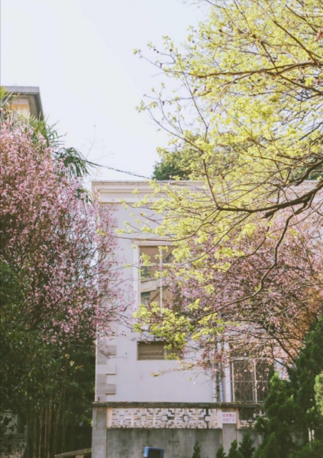 120个描写春天的好句段，让作文增光添彩的宝藏