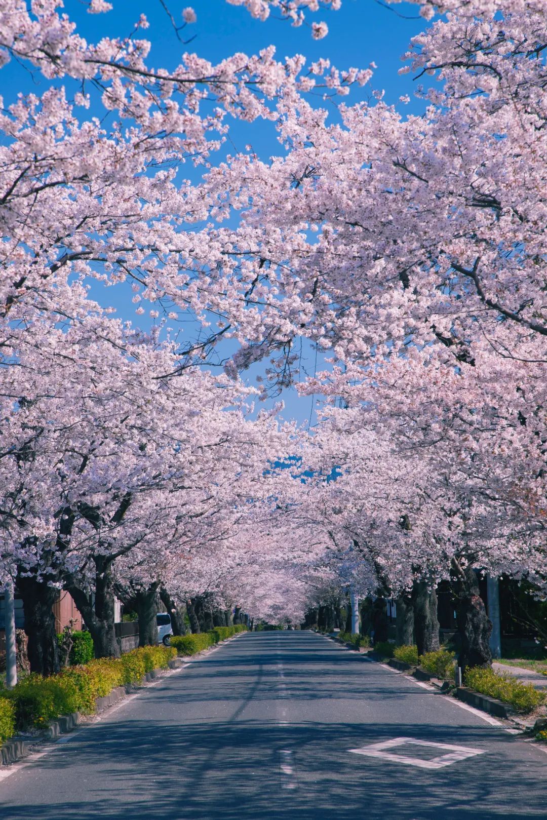 这种状态是我本人，没有跑