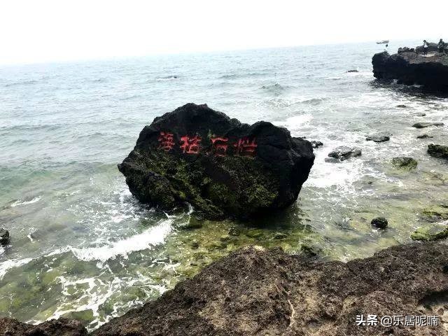 亦舒《直至海枯石烂》：再美丽的蝴蝶梦，醒来哪有什么海枯石烂