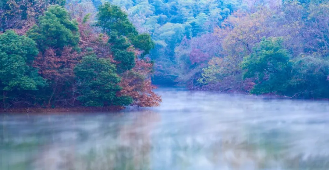 敬亭烟雨，「雨后美景」藏不住......