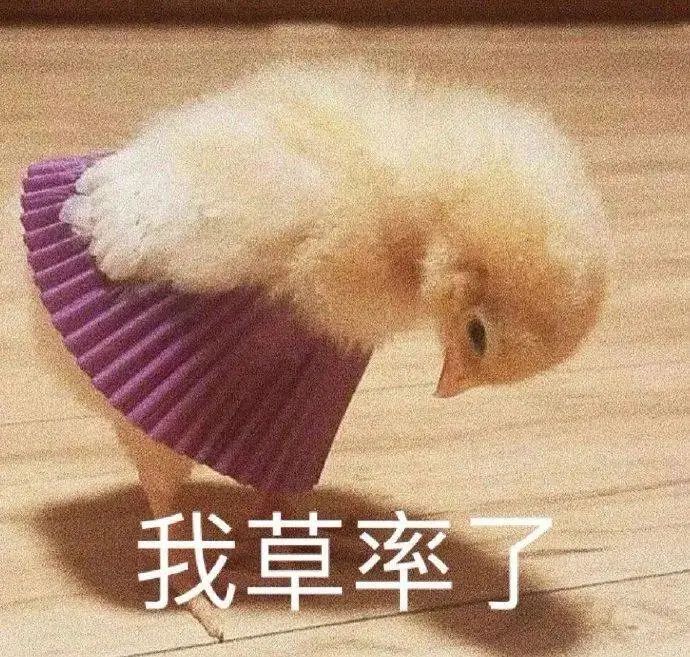 别再用Coco当英文名了！那些你以为好听的名字，其实很黑暗