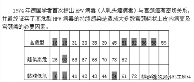 肛门摸到了小肉球，是痔疮还是尖锐湿疣？医生教你从外表区分