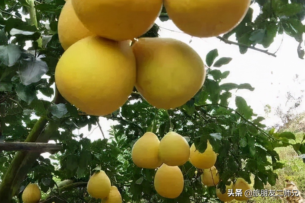 广州出发-广西容县3天游｜醉美中国风，民国小镇，旗袍秀