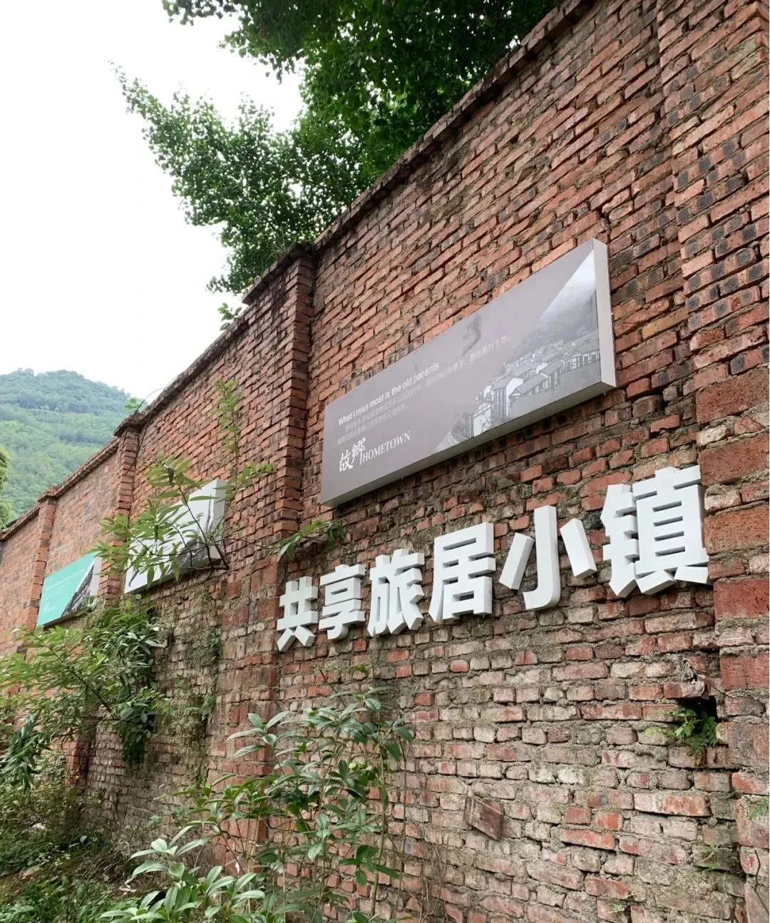 成都1.5刹拢!这个小众森林古镇,清凉耍水、网红拍照、喝茶休闲