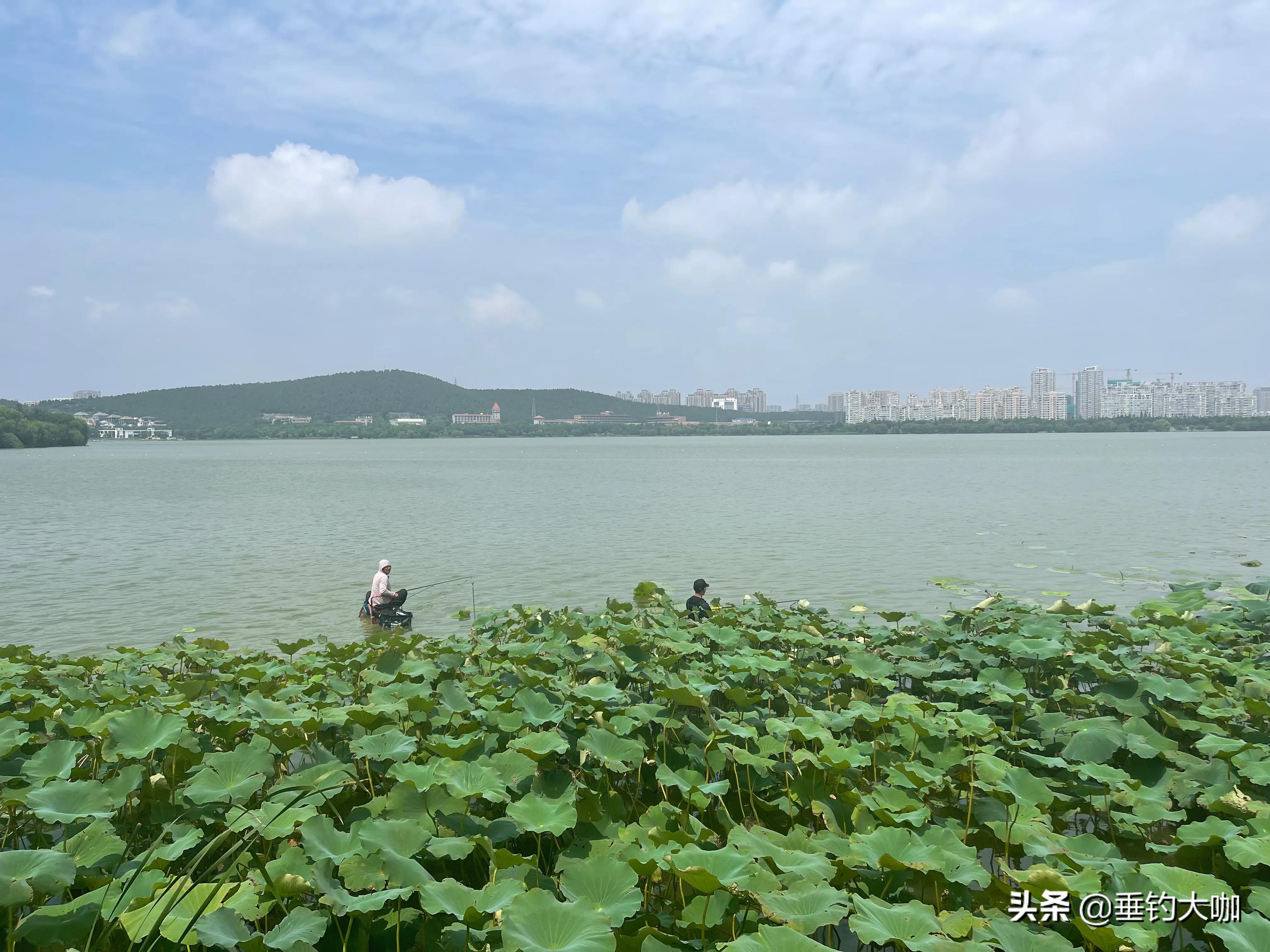 十大名牌鱼竿推荐：3款高性价比大物竿精选