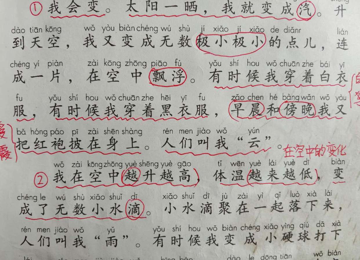 二年级语文上册《我是什么》考点易错点总结，家长：太到位了