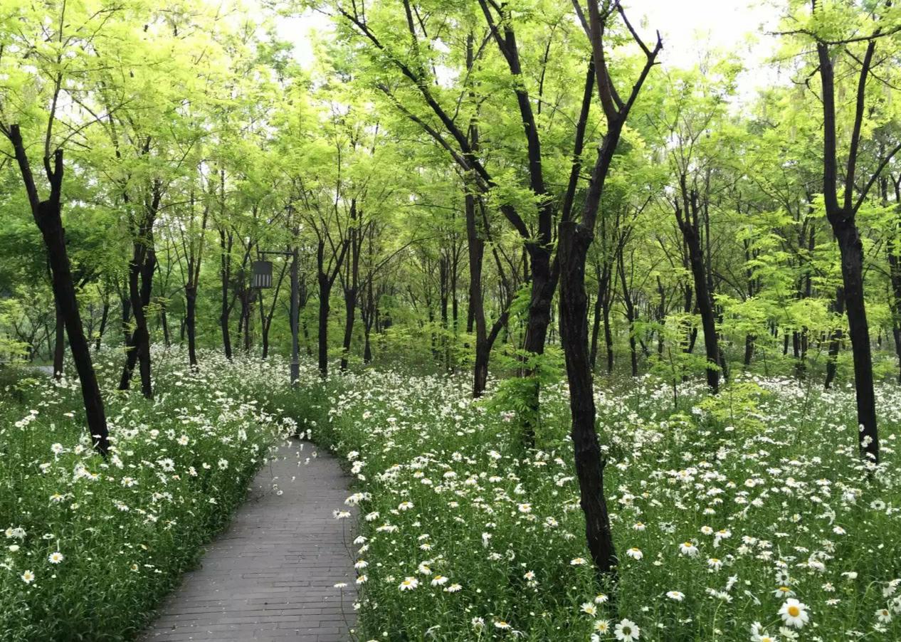 春游好去处！北京最“冷门”公园，不要门票进去可野餐